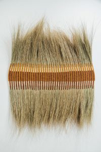 Páramo II