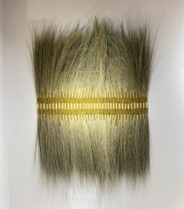 Páramo I